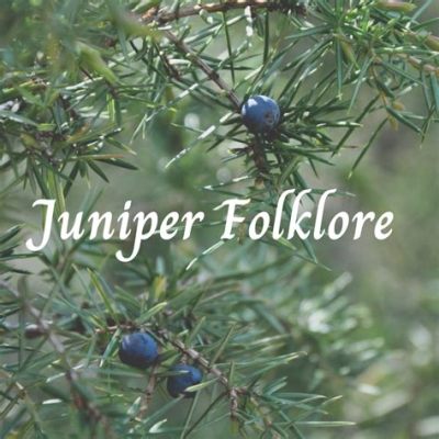  The Juniper Tree: 독일 민담 속 잔혹함과 치유의 기적